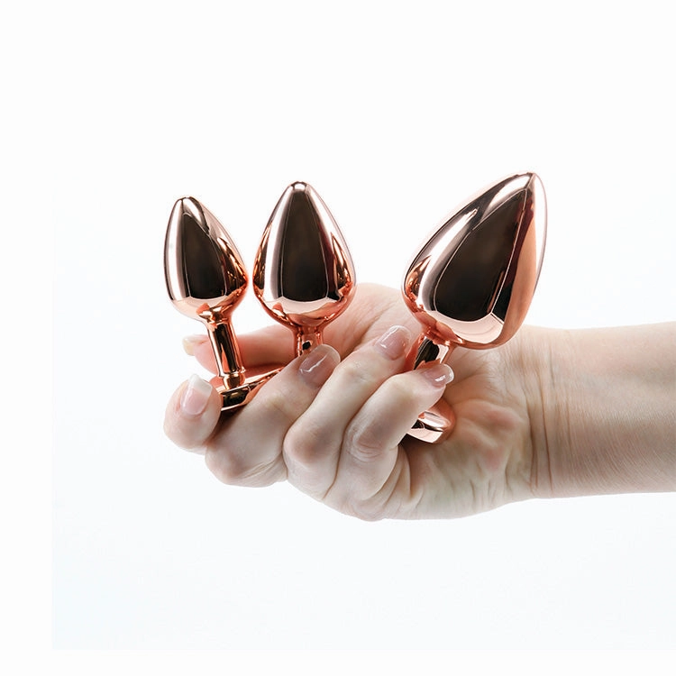 Rear Assets 3pc Rose Gold Anal Training Kit